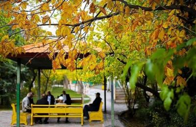  تهران پاییزی /عکس