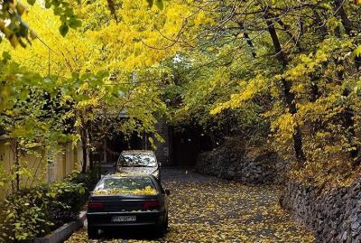  تهران پاییزی /عکس