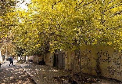  تهران پاییزی /عکس