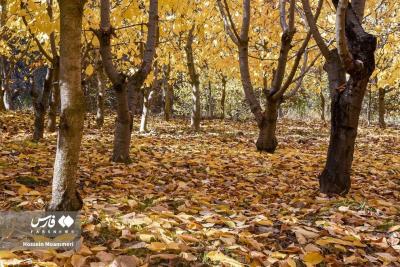 جلوه‌گری چشم‌نواز پاییز در خراسان شمالی