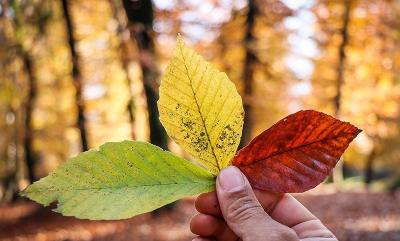 طبیعت پاییزی اشکور گیلان