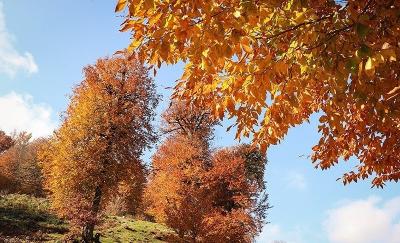 طبیعت پاییزی اشکور گیلان
