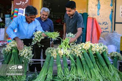 بازار داغ نرگسِ شیراز / عکس