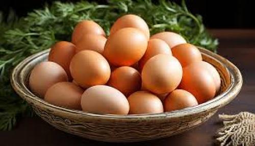 قیمت تخم‌مرغ در بازار چه قدر است ؟