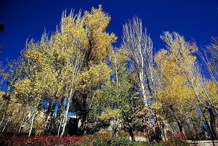 طبیعت گنج نامه همدان