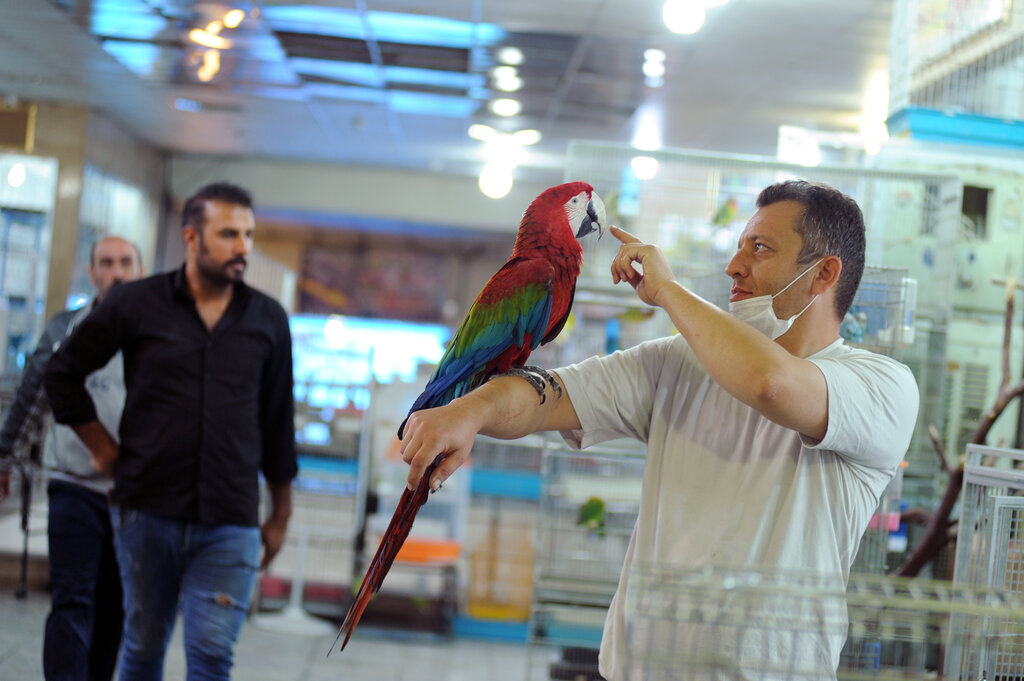 بازار پرنده‌فروشان مشهد