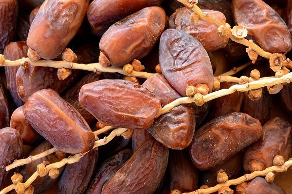 کارخانه تبدیل پسماند خرما به مواد کربنی
