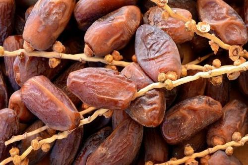 کارخانه تبدیل پسماند خرما به مواد کربنی