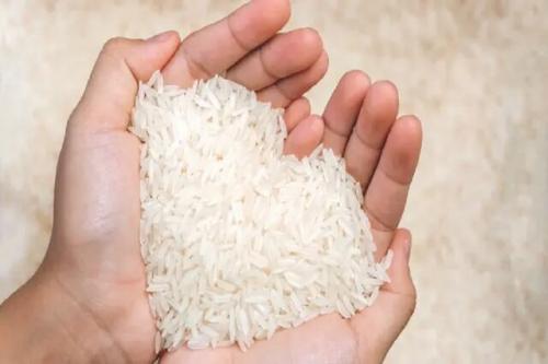  کنترل قیمت با ترخیص برنج‌های وارداتی از گمرک/ آغاز ثبت سفارش برنج از ۵ آذر