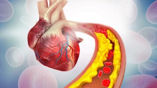 علائم نارسایی قلبی کدامند