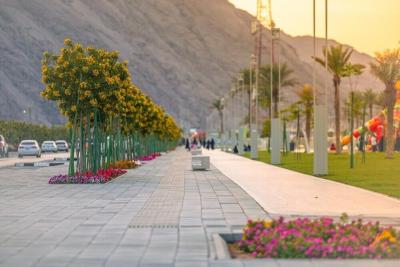 شهر حائل عربستان رکورددار جذب گردشگر