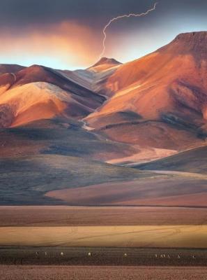 برندگان مسابقه عکاسی مناظر طبیعی ۲۰۲۴ 