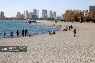 کاکایی‌ها بر فراز دریاچه چیتگر 