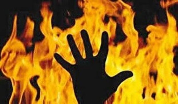 انتقام جویی از یک املاکی