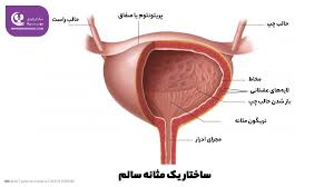  افرادی که در معرض سرطان مثانه هستند