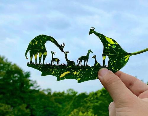  هنر به روی برگ‌ها