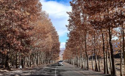 چشم‌نوازی پاییز در روستای تاریخی ابیانه 