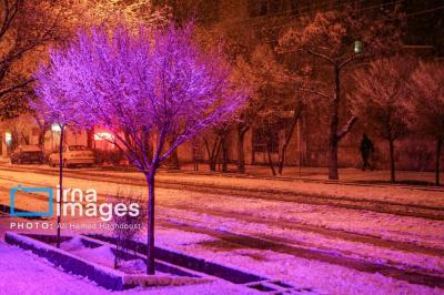 بارش دلنشین برف در تبریز 
