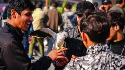 بازار فروش حیوانات کمیاب در بغداد