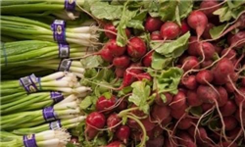 وجود نیترات بالا در برخی از چاه‌های آب پایتخت/ جلوگیری از کشت سبزیجات با استفاده از فاضلاب شهری