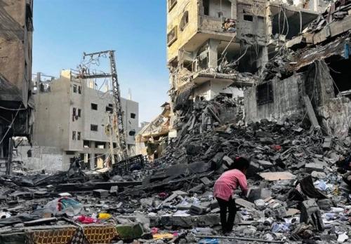 یخ زدن کودک فلسطینی در شمال غزه و حمله سگ‌ها به پیکر شهدا 