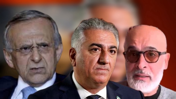 رضاپهلوی به درد سیاست نمی‌خورد+ عکس و فیلم