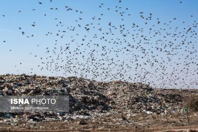 فاجعه زیست محیطی در زباله‌گاه نیشابور 
