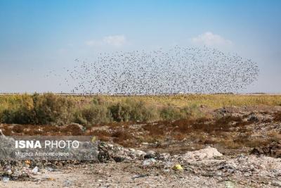فاجعه زیست محیطی در زباله‌گاه نیشابور 