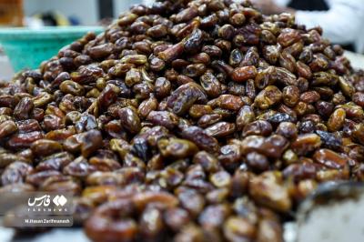 عکس های خرمای استِعمِران 