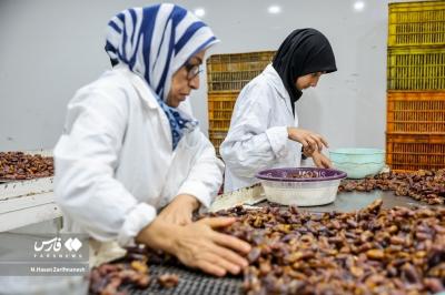 عکس های خرمای استِعمِران 