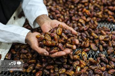 عکس های خرمای استِعمِران 
