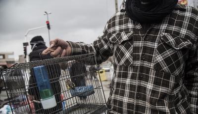 بازار دستفروشان خیابان انقلاب سنندج