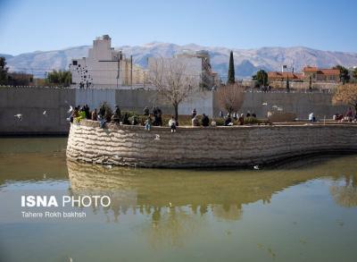 کاکایی‌ها مهمان زمستانی شیراز