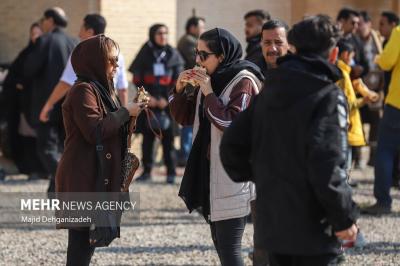 طولانی‌ترین کباب در باغ جهانی دولت آباد یزد