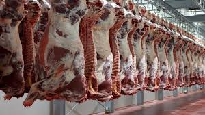  قیمت گوشت قرمز امروز یکشنبه ۳۰ دی ۱۴۰۳ 