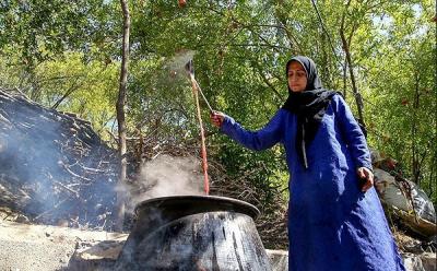 عکس/ برداشت انار در روستای دورک اناری شهرکرد
