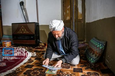 عکس / پرورش اسب ترکمن