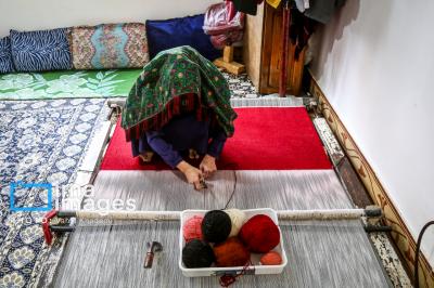 عکس / پرورش اسب ترکمن