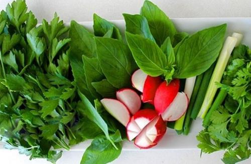 خواص سبزی خوردن در زمستان