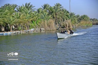 تالاب شادگان، نگین درخشان خوزستان 