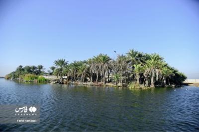 تالاب شادگان، نگین درخشان خوزستان 