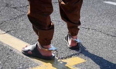  عکس/ به دام افتادن سارقان و مالخران در البرز