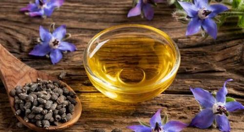 آرامش اعصابتان را با این گیاه تضمین کنید 