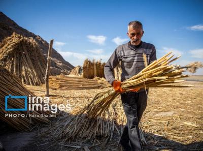 بوریابافی در زرقان فارس