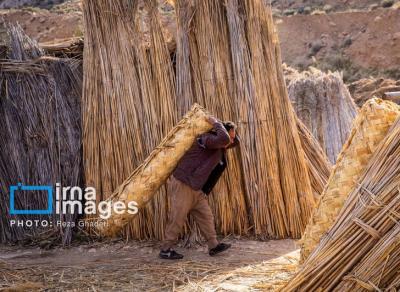 بوریابافی در زرقان فارس