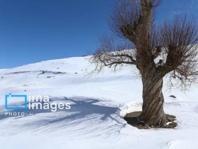  عکس/ پیست اسکی "سهند"