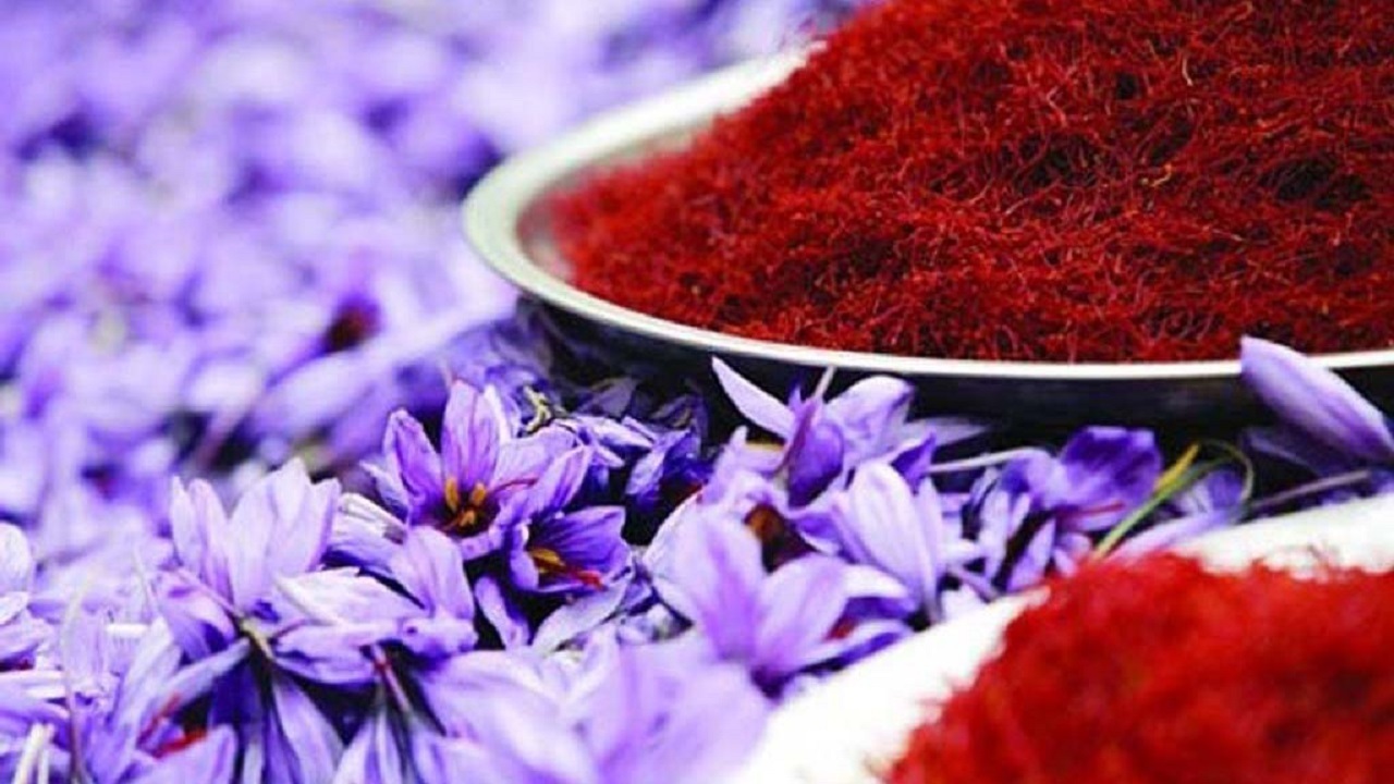 قیمت طلای سرخ افزایش یافت