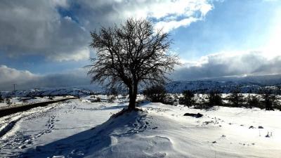 طبیعت برفی دالاهوی