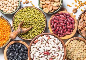 قیمت انواع حبوبات بسته بندی شرکتی 