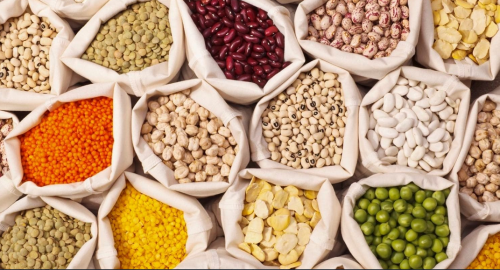 قیمت حبوبات در بازار به گوشت نزدیک شد/پروتئین حبوبات به جای گوشت+عکس